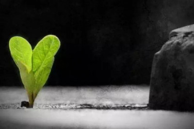 12 простых цитат о сложной жизни