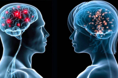 В чем отличия между мозгом мужским и женским?