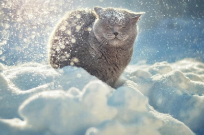 Как избавиться от зимней хандры?