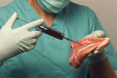 Лабораторное мясо – спасение человечества