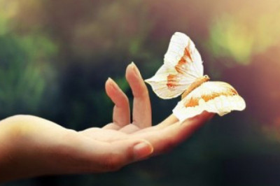 Сколько чувств имеется у человека?