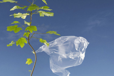 Экологичная упаковка – теперь реальность