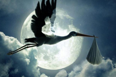 Почему именно аист приносит детей?