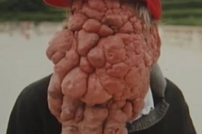 Хосе Местре - 