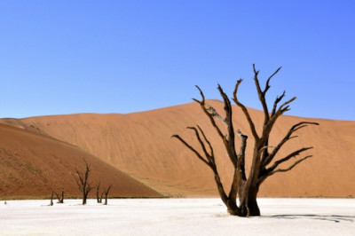 Намиб – самая сухая, самая холодная и самая древняя пустыня на Земле