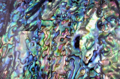 Интересные факты о перламутре