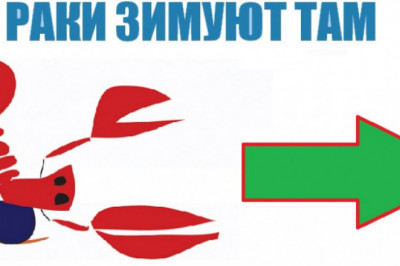  Где же зимуют раки?