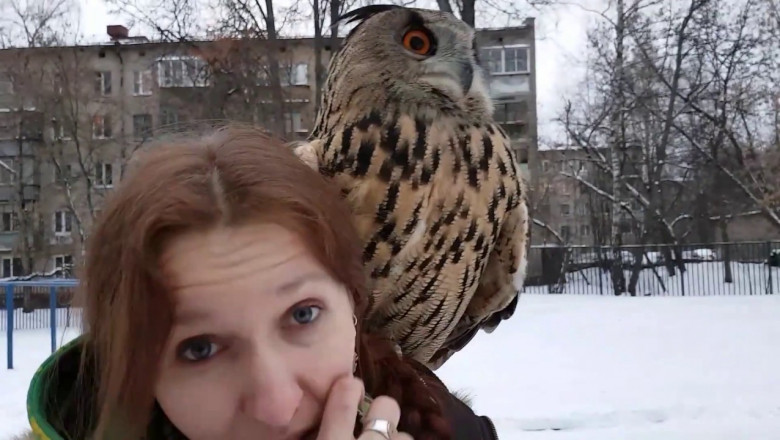 Любопытные факты о совах