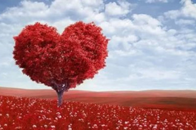 Сердце как главный двигатель в организме человека