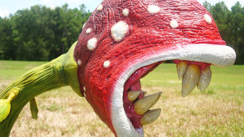 Фильм о голодных цветочках в стиле ужасов