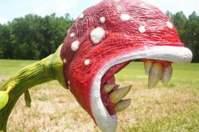 Фильм о голодных цветочках в стиле ужасов