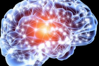 3 важных факта о мозге, которые стоит знать