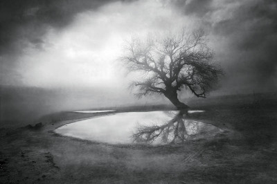 Невероятные явления, которые были засняты на фотокамеру