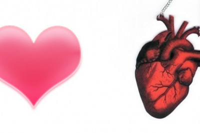 Почему рисунок сердца не соответствует действительности? 