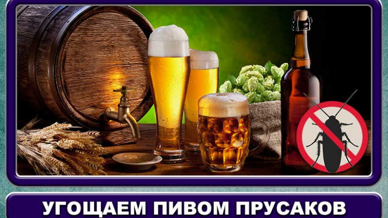 Как тараканы пиво пьют...