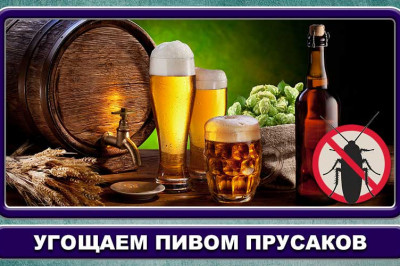 Как тараканы пиво пьют...
