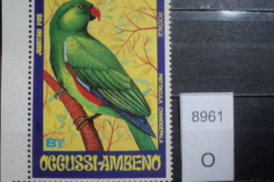 Где находится мистическое государство Окусси-Амбено?