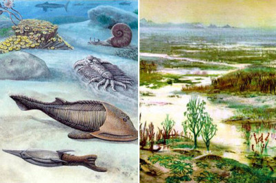 Кто первым вышел на сушу?