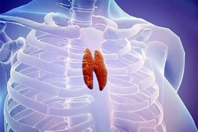 Зачем человеку нужен тимус?