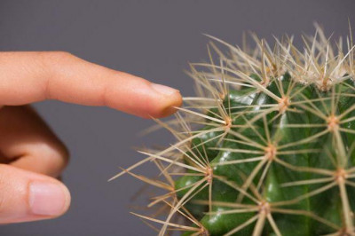 Так ли хорошо не чувствовать боли?