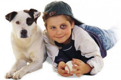 Почему синяк меняет цвет?