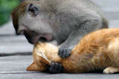 Как искусственное дыхание возвращает пострадавшего к жизни?