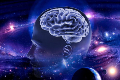 Поразительные факты о мозге человека