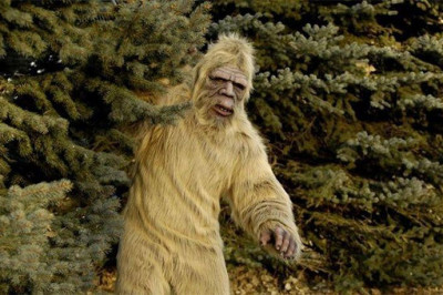 Интересные сведения о снежном человеке