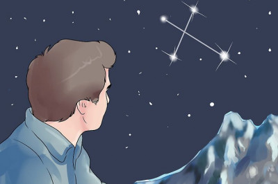 Как в лесу возможно определить север?