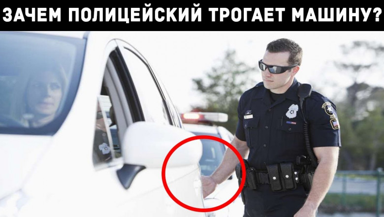 10 ВЕЩЕЙ, КОТОРЫХ ВЫ НЕ ЗНАЛИ О ПОЛИЦИИ