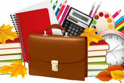 Любопытные факты о школе