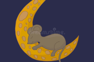 Как сыр влияет на сон?