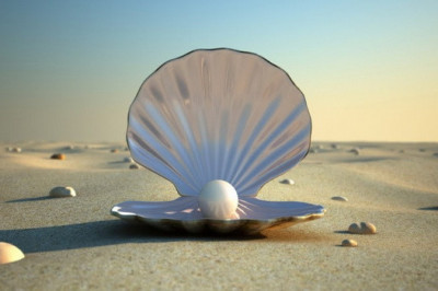 Как образуется жемчужина?