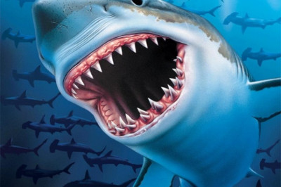 Акула- лидер по самой зубастой пасти?