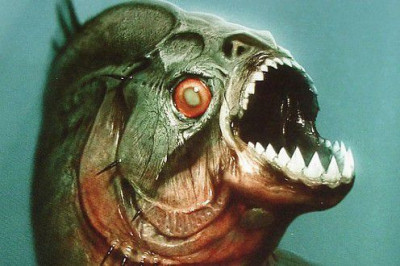 Неожиданные факты о пираньях