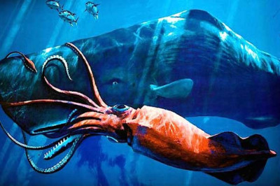 У кого глаза весят по 3 килограмма?