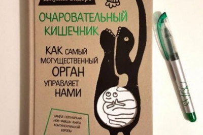 7 правил, позволяющих поддержать здоровье кишечника