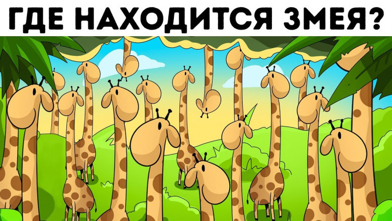 6 загадок, для решения которых необходимо сильно потрудиться 