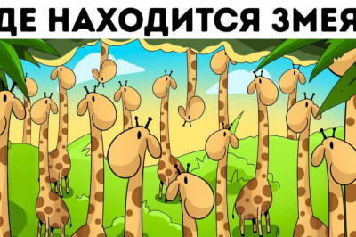 6 загадок, для решения которых необходимо сильно потрудиться 