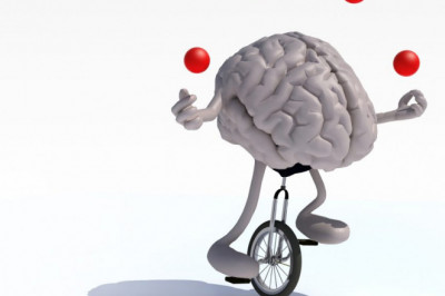 Необычайные факты о содержимом внутри черепной коробки