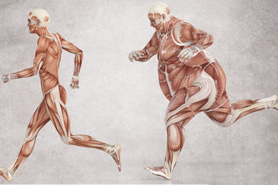 Отчего иногда сила воли оказывается бессильной перед гормоном сытости?