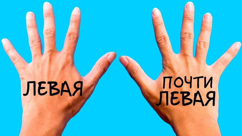 12 признаков высокого интеллекта