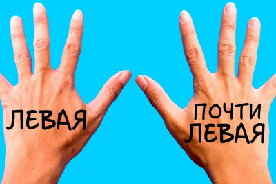 12 признаков высокого интеллекта