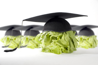 Топ продуктов для вашего мозга