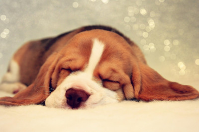 Как по утрам выглядеть свежо и отдохнувшим?