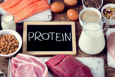 Почему так важно есть белковую пищу?