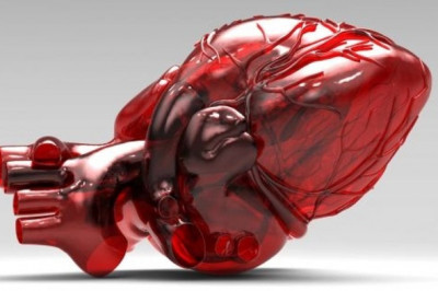 5 удивительных фактов о сердце