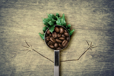 Сколько можно пить кофе без вреда для здоровья?