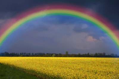 Отчего радуга имеет форму дуги?