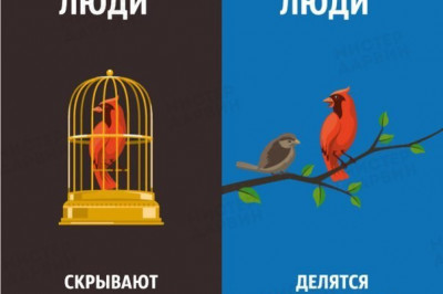 Успешные люди: какие они на самом деле?